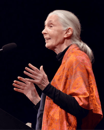 Dr. Jane Goodall